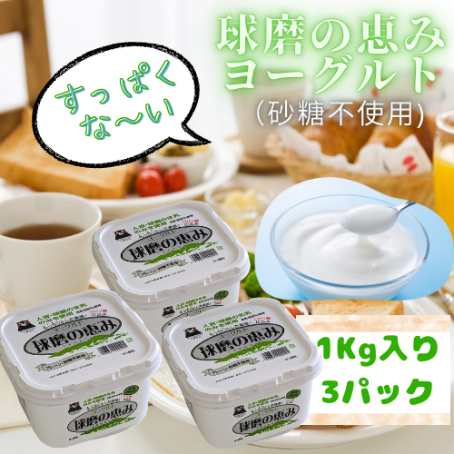 球磨の恵みヨーグルト（砂糖不使用）3Kg ｜ 乳製品/その他乳製品 産直