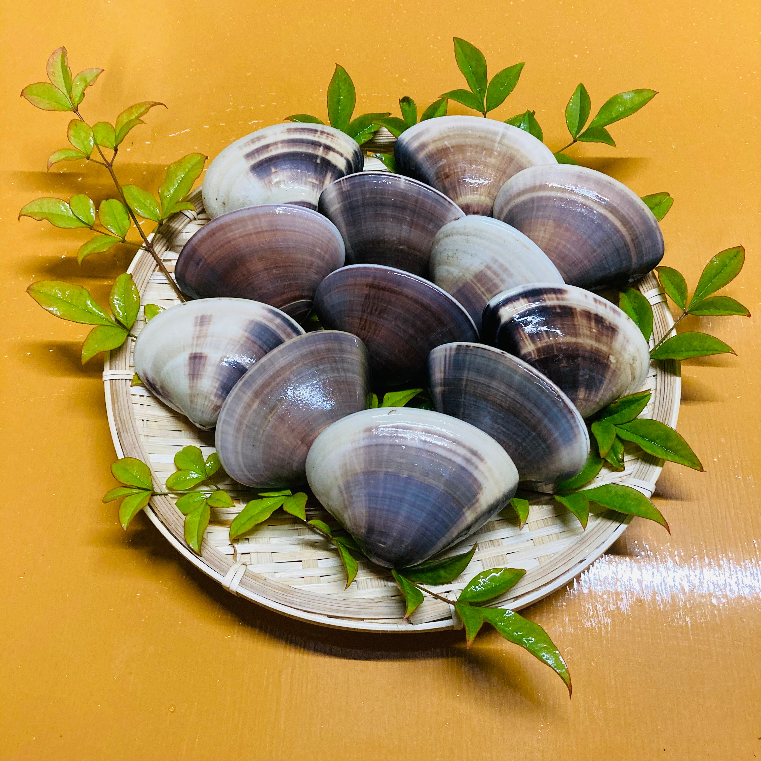 千葉県産 はまぐり2キロ | 魚介類/蛤 産直アウル 農家から直接野菜など