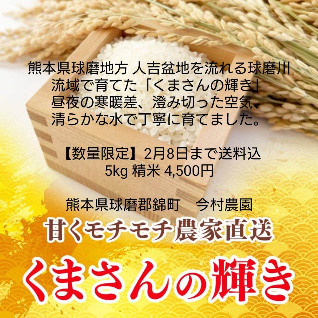 くまさんの輝き10キロ【5キロ✕2袋】 ｜ 米・穀物/米/精米 産直