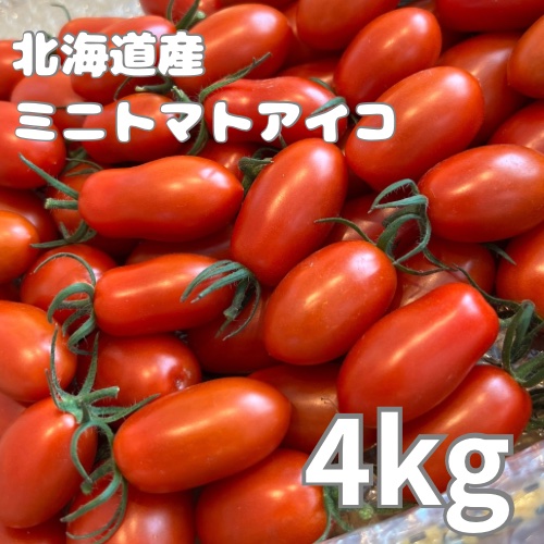 冷凍トマト ミニトマト アイコ 業務用 加工用 10kg 北海道産ミニトマト