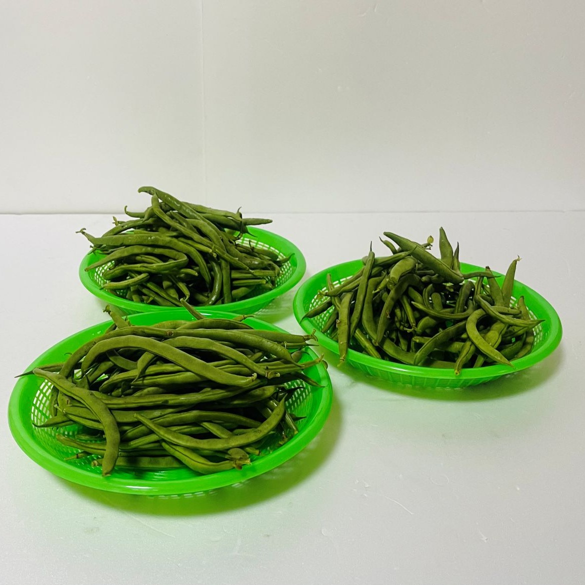 訳あり品】さやいんげん5kg(沖縄県産) 商品の説明【訳あり品】沖縄県…