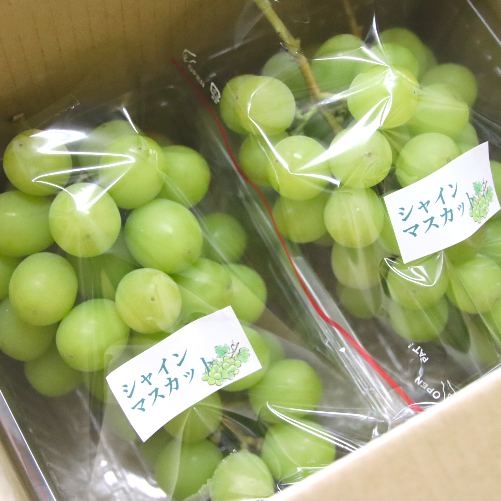 13日月曜日発送！今シーズン最後【山梨県産】シャインマスカット 5kg 産地直送 5kg 13日月曜日発送！今シーズン最後【山梨県産】シャインマスカット 産地直送