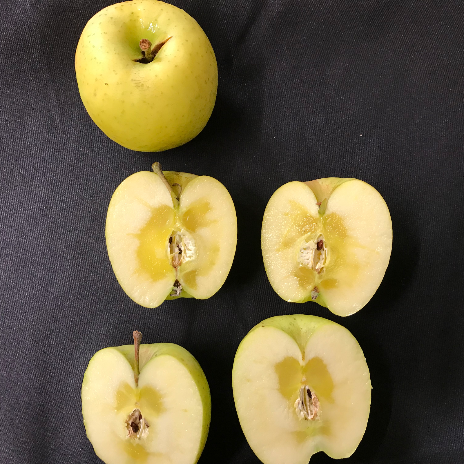 青森県産りんご「黄金ふじ」 家庭用 きずあり 5kg×2箱 | 果物/りんご