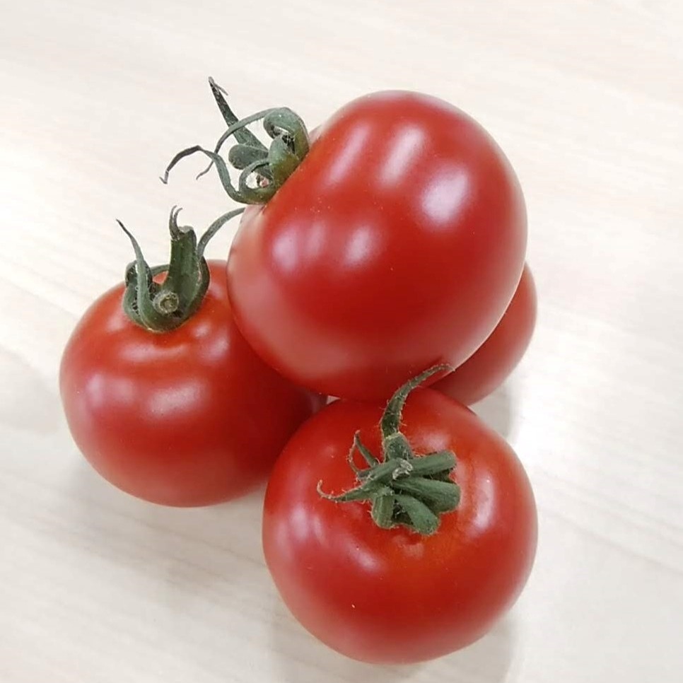 南アルプス丸吉菜園（山梨県・南アルプス市）｜生産者詳細｜産直アウル