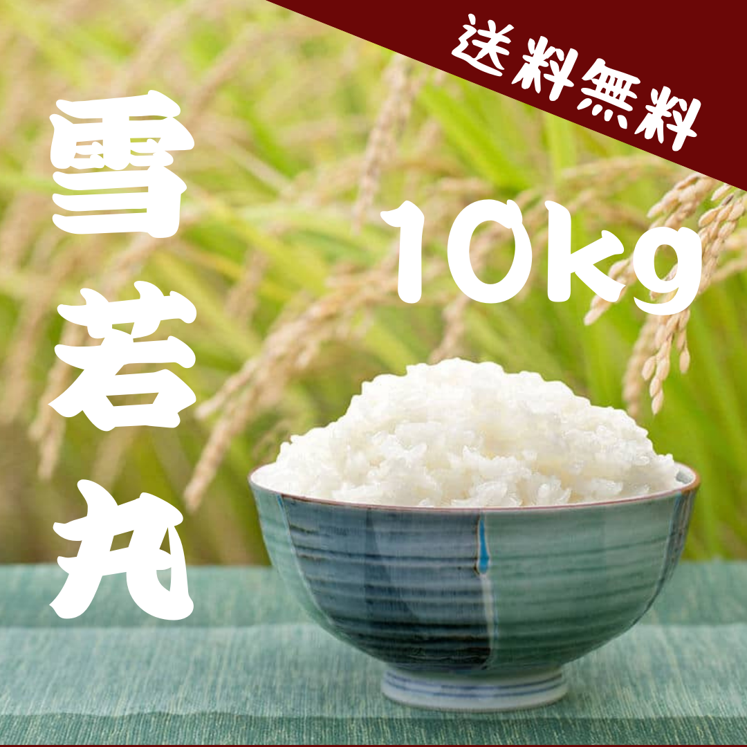 23歳若手農家直送 雪若丸10kg ｜ 米・穀物/米/精米 産直アウル 農家