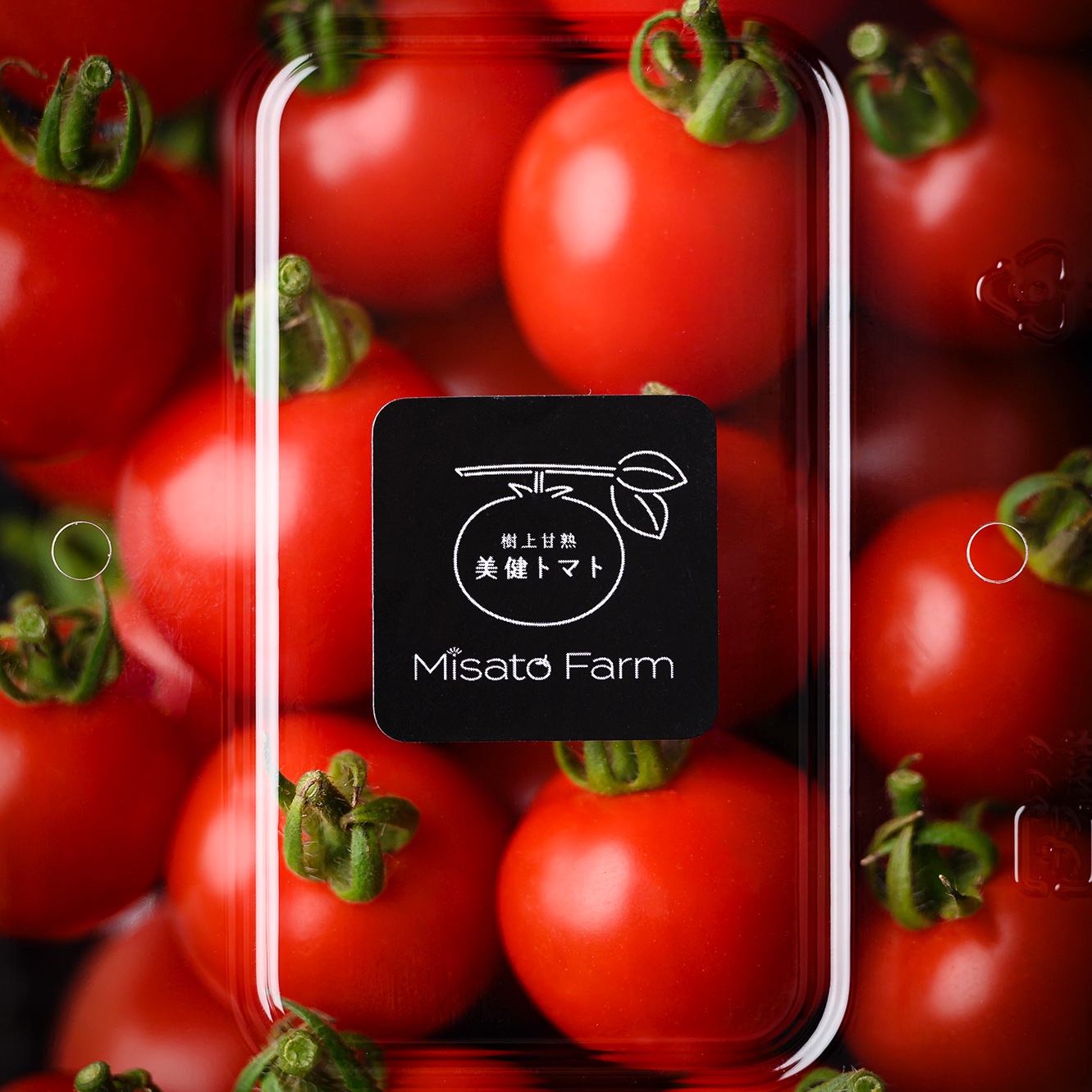 2年連続金賞受賞園！】美健トマト®︎（1.8キロ） ※特別価格で販売中