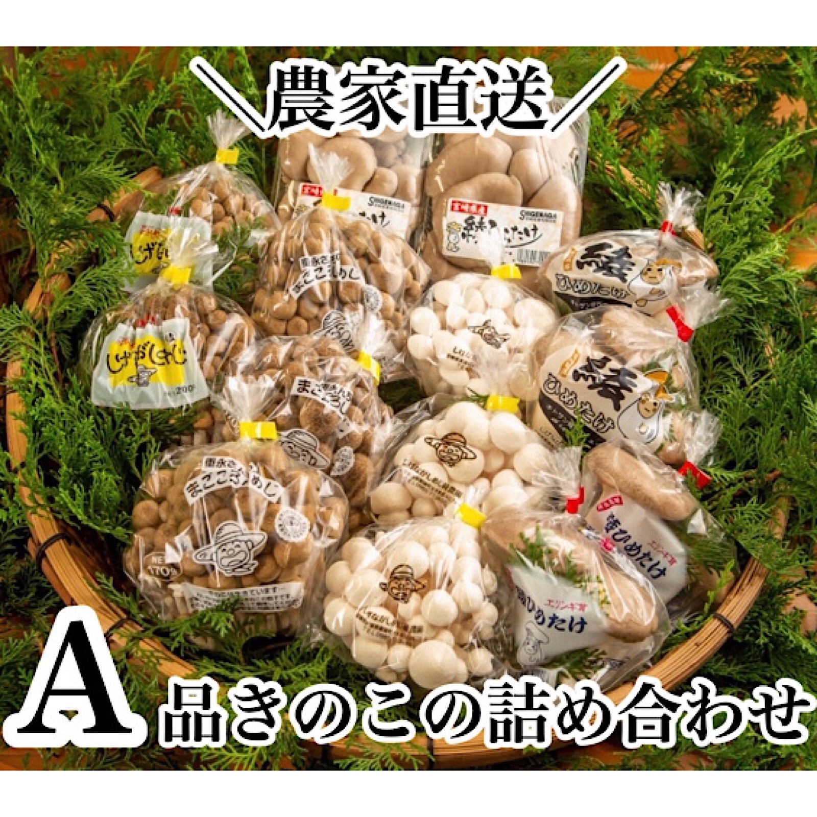 しげながきのこ（宮崎県・綾町）｜生産者詳細｜産直アウル