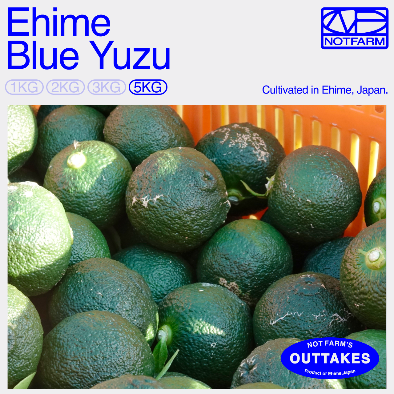 OUTTAKES】訳あり 青ゆず5kg 愛媛県産 青柚子 BLUE YUZU ｜ 果物/香酸