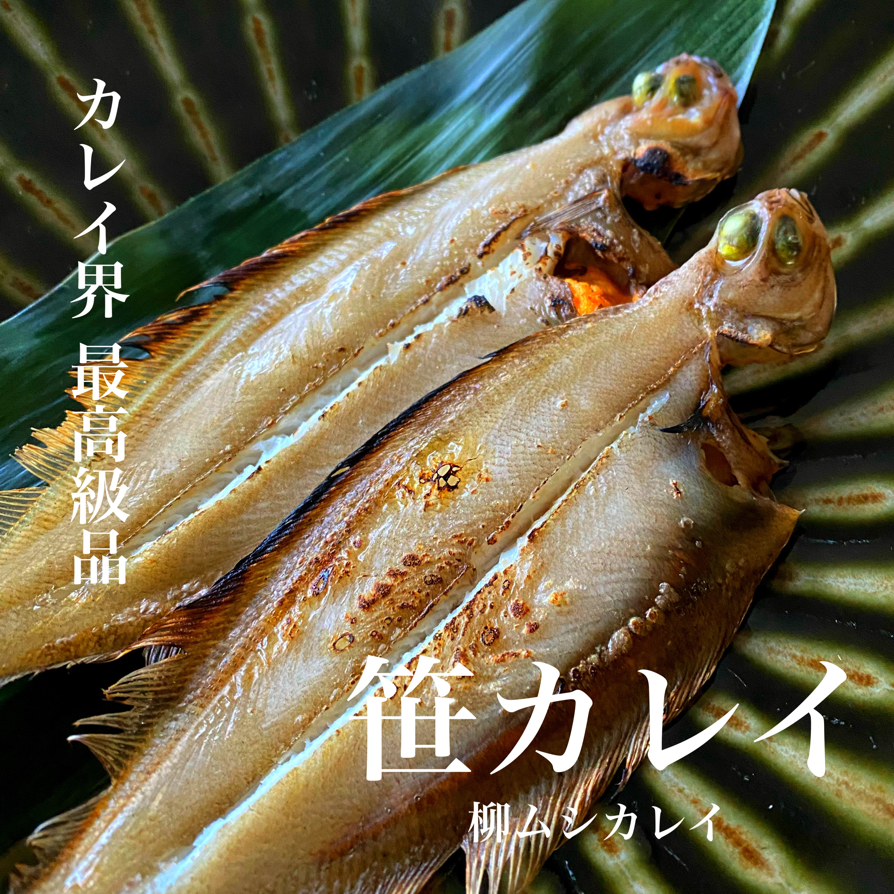 カレイ界の最高級品】笹カレイ(ヤナギムシカレイ)の干物4P(8-12尾 