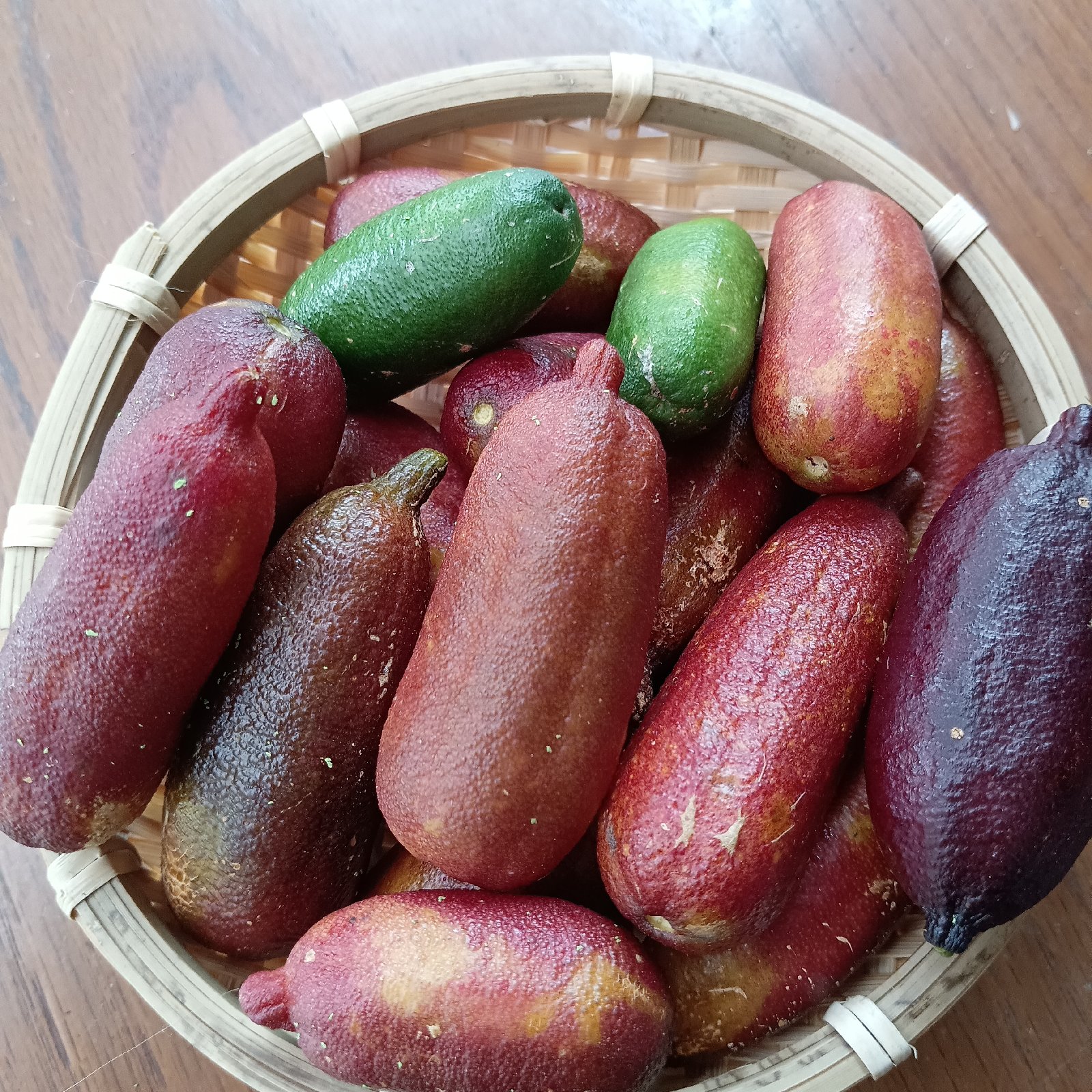 フィンガーライム | 果物/香酸柑橘(ライム・レモン等) 産直アウル 農家