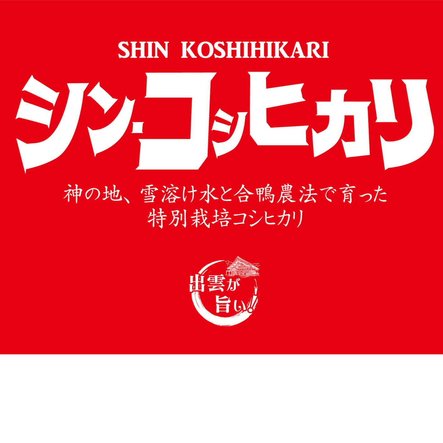 農家 蔵出し処分/10.26/精米R6年産/姫ごのみ/10kg コシヒカリ 農林水産大臣賞受賞 10kg 白米 (5kg×2) 令和7年産 茨城県産