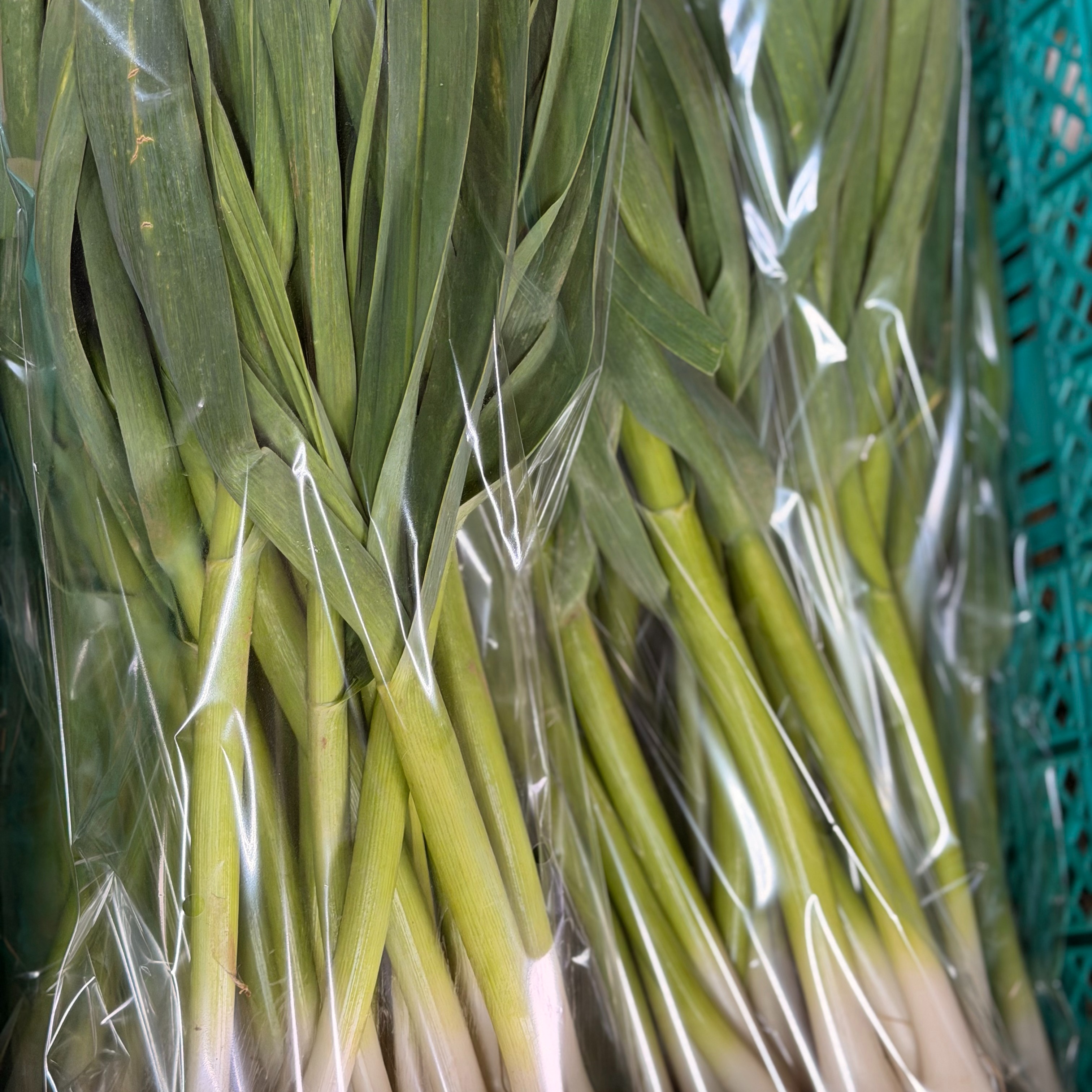 今だけの旬】露地栽培の濃厚な香り 葉ニンニク 4kg ｜ 野菜/にんにく