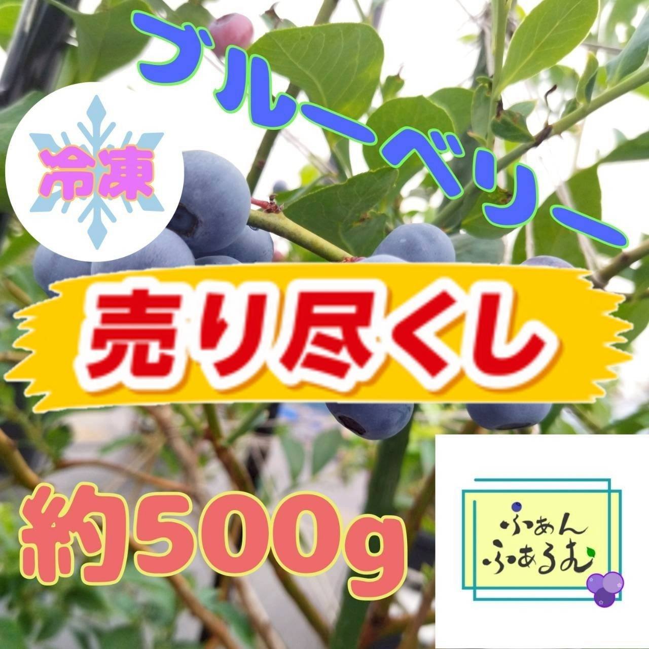 30％OFF】令和7年度産冷凍ブルーベリー品種MIX 500g ｜ 果物/ベリー類