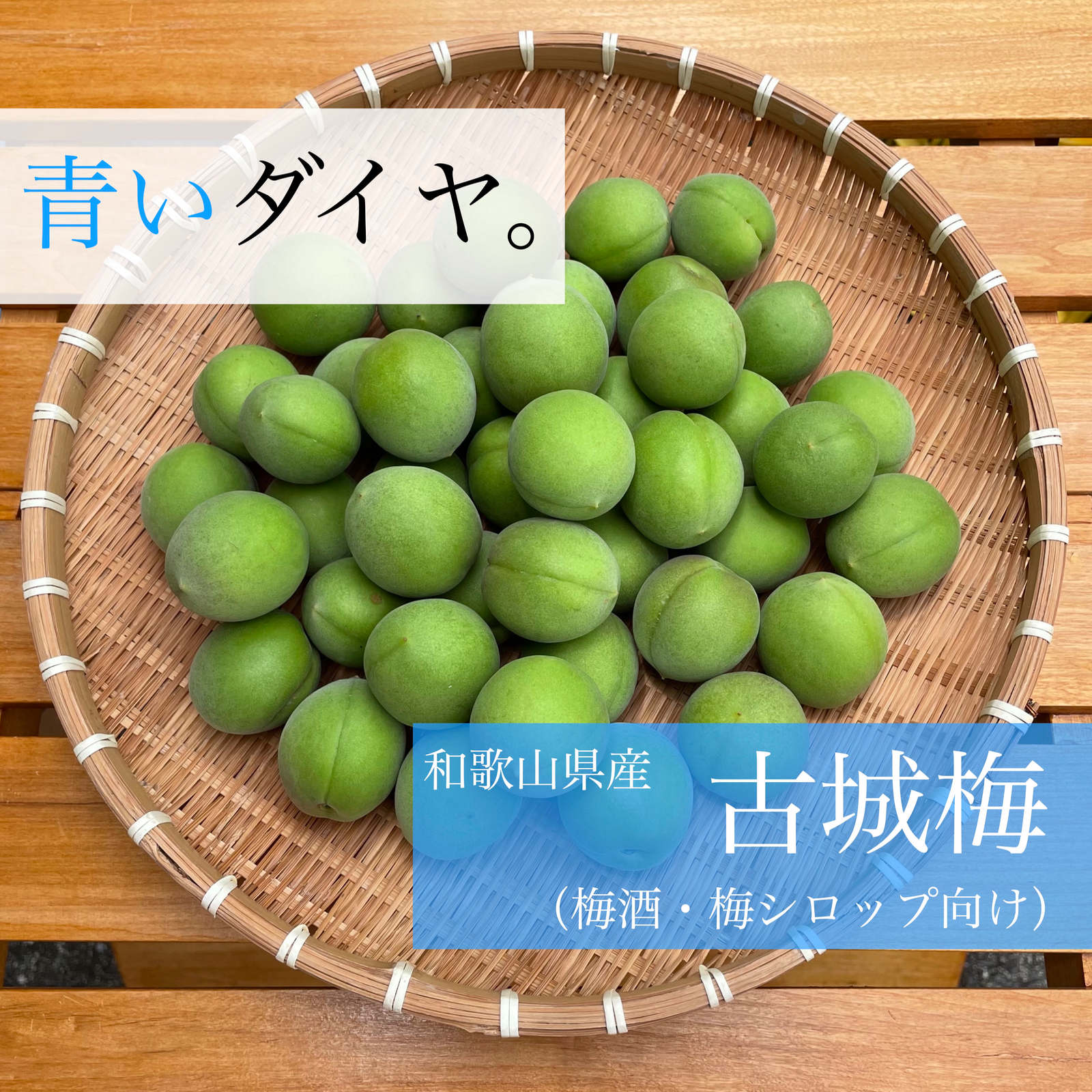 和歌山　古城梅　梅　青梅　16kg