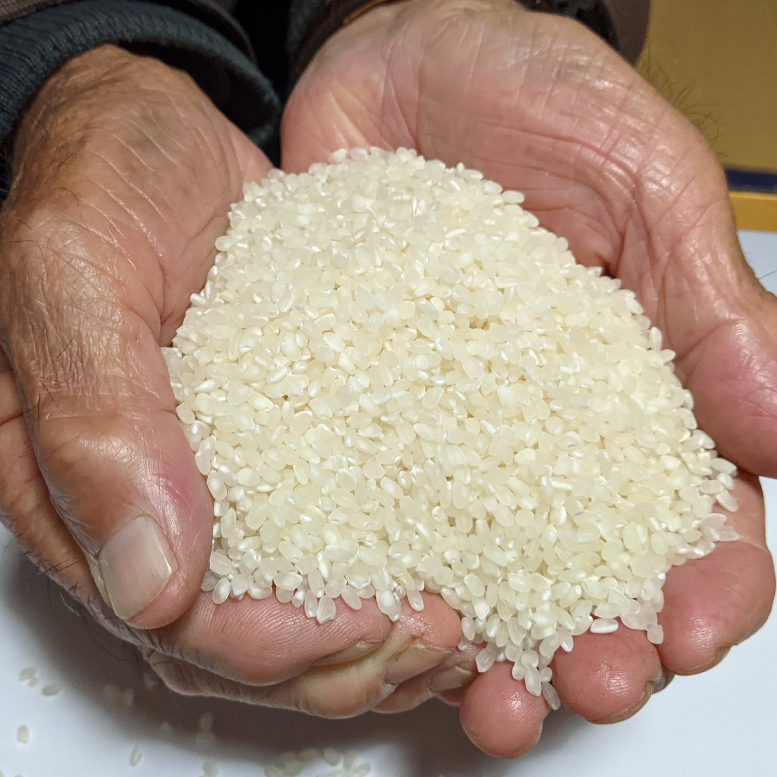 わかまるのきまる様用埼玉県産コシヒカリ18kg精米☆生産農家直送