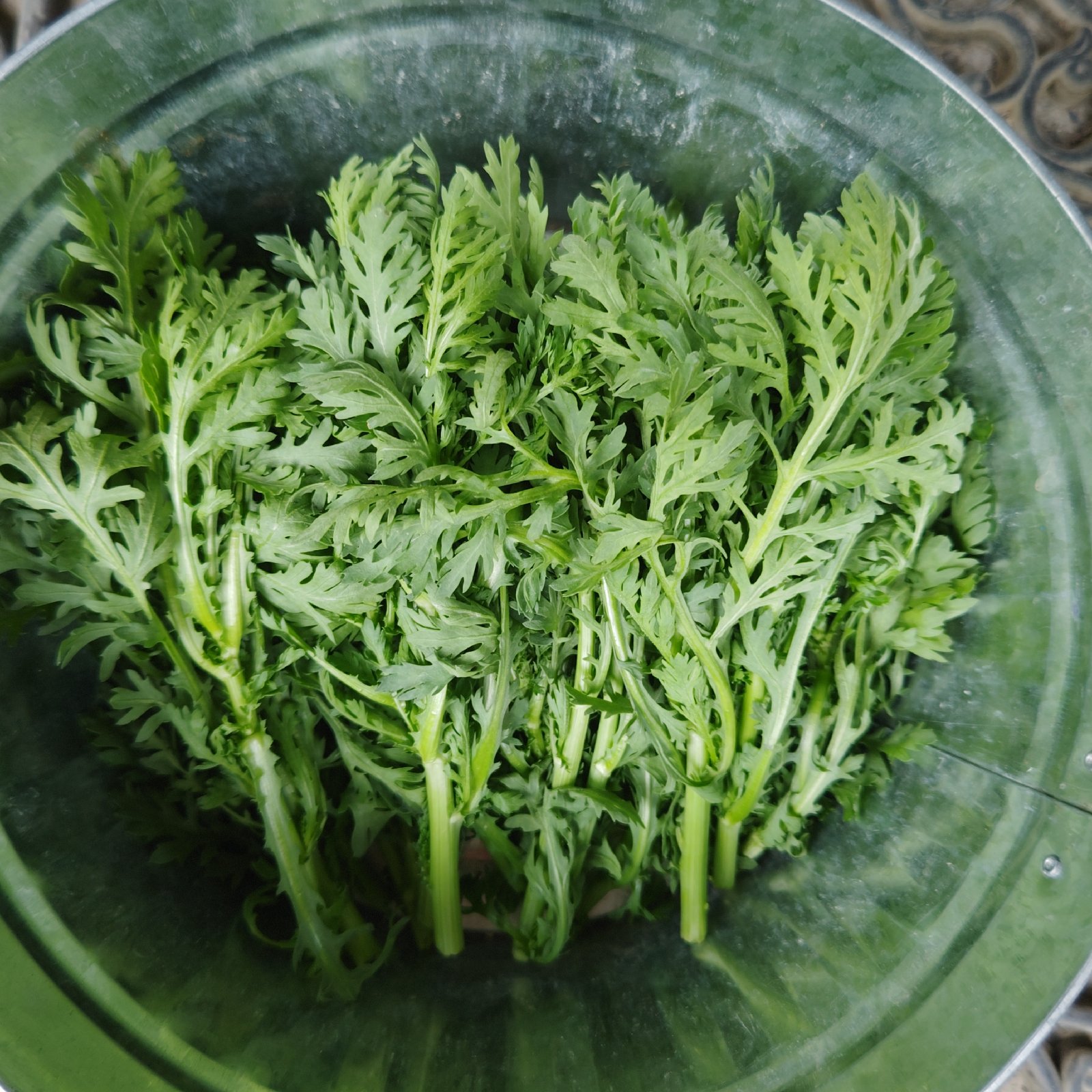 春菊の産地直送食材一覧（通販・お取り寄せ）-産直アウル