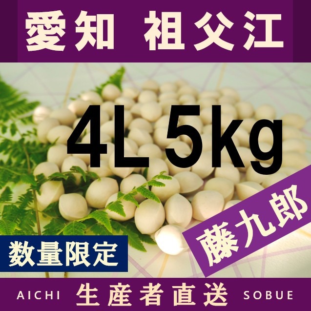 2026年新物！ 愛知県 祖父江産 藤九郎 銀杏 ぎんなん 4L 5kg ☆秋の