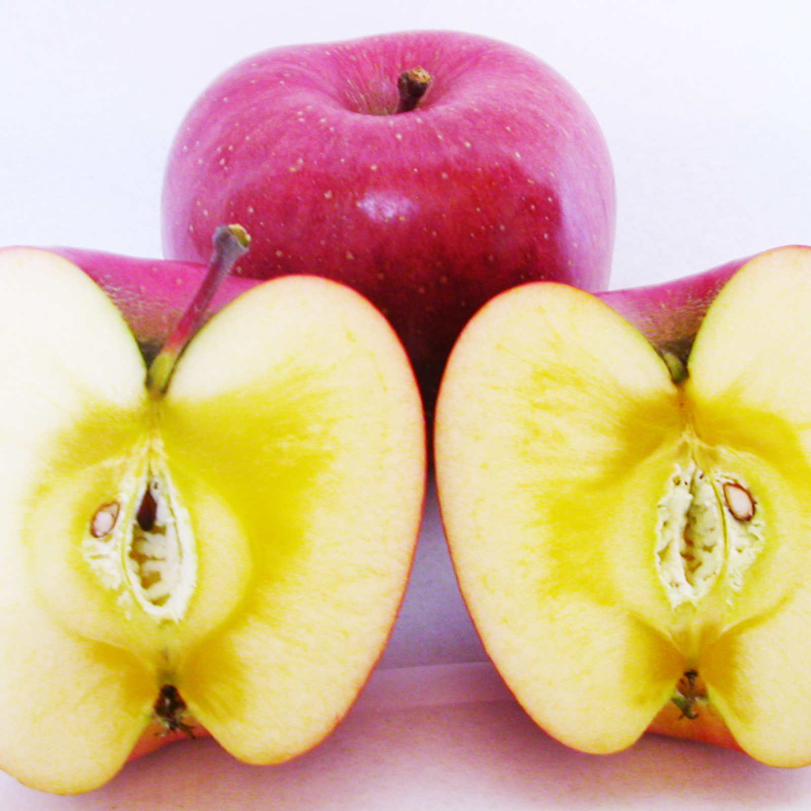 にゃーこさんが 信州のど真ん中、梶原農園 の 【サンふじ5kg】鰹と海藻