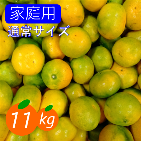 家庭用】極早生みかん 11kg(通常サイズ) 旬を先取り