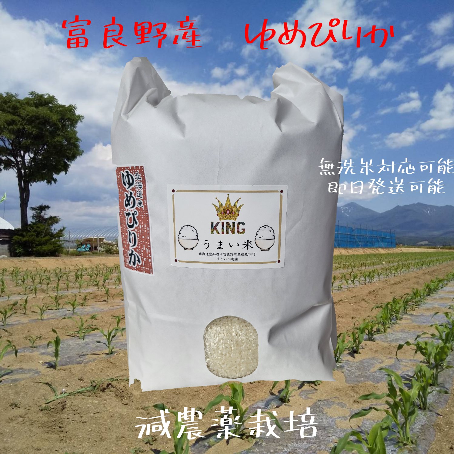 ふるさと納税 北海道 上富良野町 ゆめぴりか 精米 10kg ／北海道 上富良野産 〜It's Our Rice〜 ふるさと納税北海道 上富良野産「 ゆめぴりか 」特別