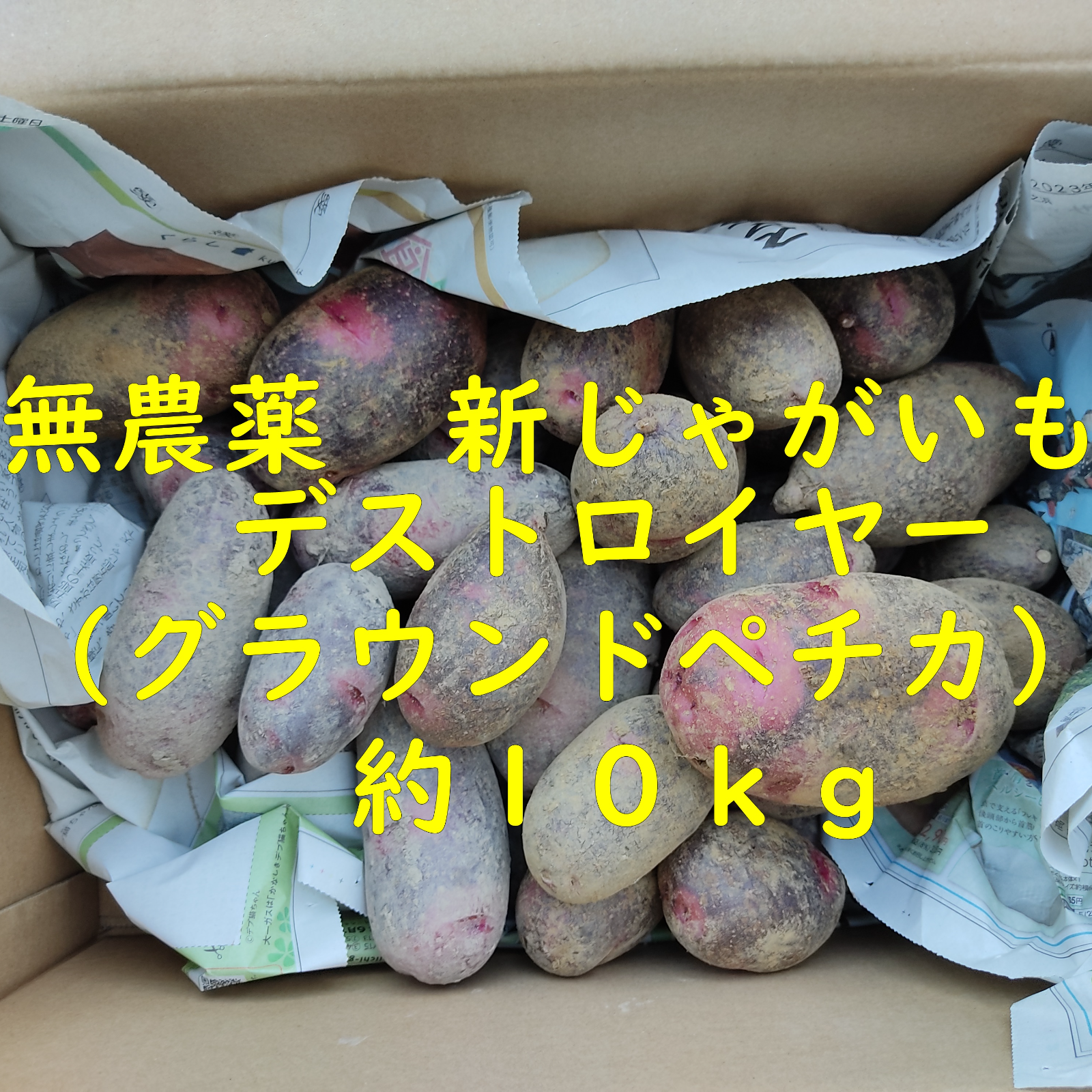 無農薬 新じゃがいも デストロイヤー グランドペチカ 約１０ｋｇ | 野菜/じゃがいも 産直アウル  農家から直接野菜などの食材を購入できる産地直送の宅配通販サイト