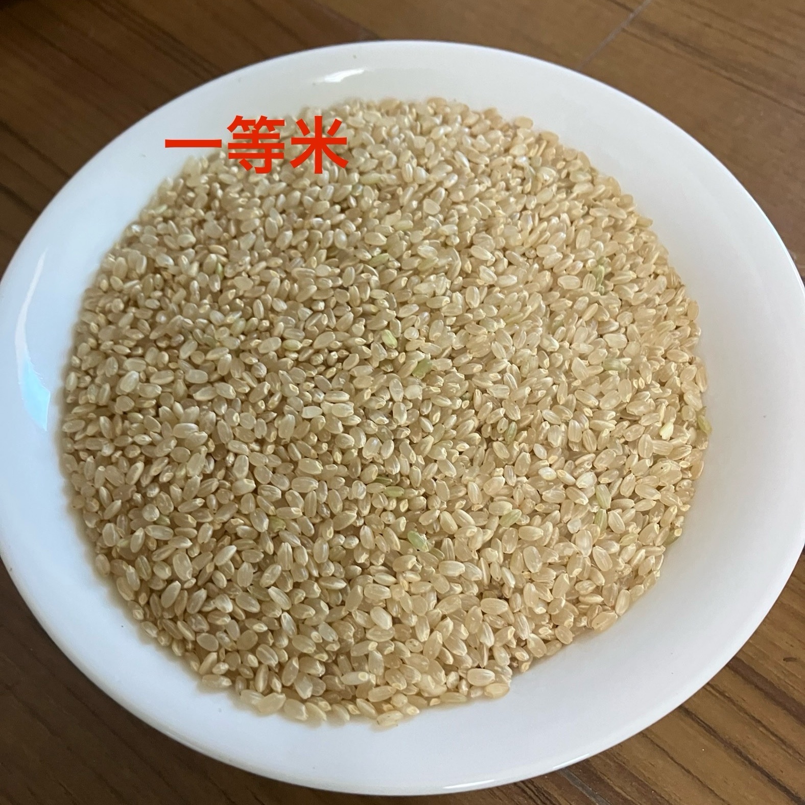 令和7年度 福井県産コシヒカリ 白米 ｜ 米・穀物/米/精米 産直アウル 