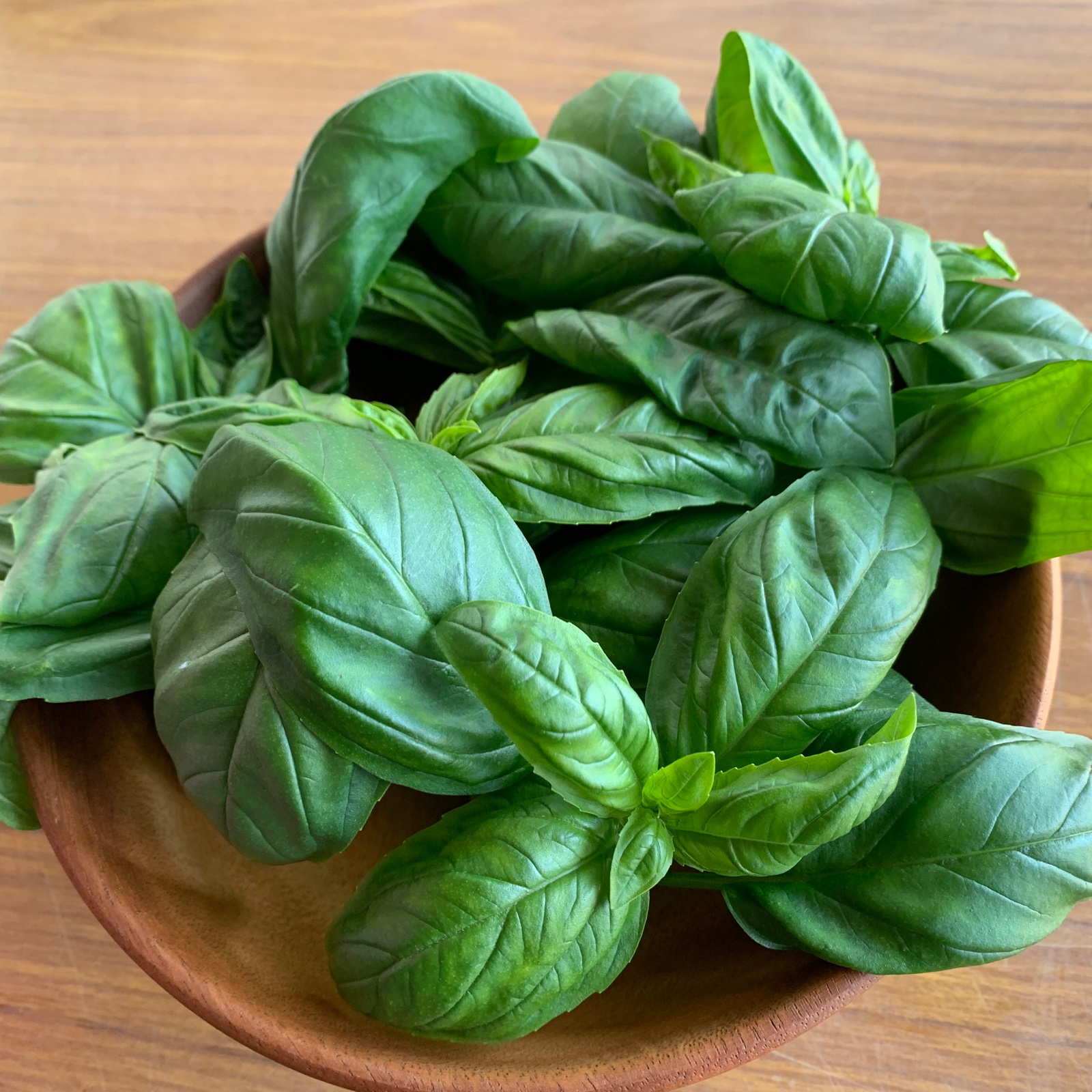 e4adb305dd02c280ddcd24f5384aec  