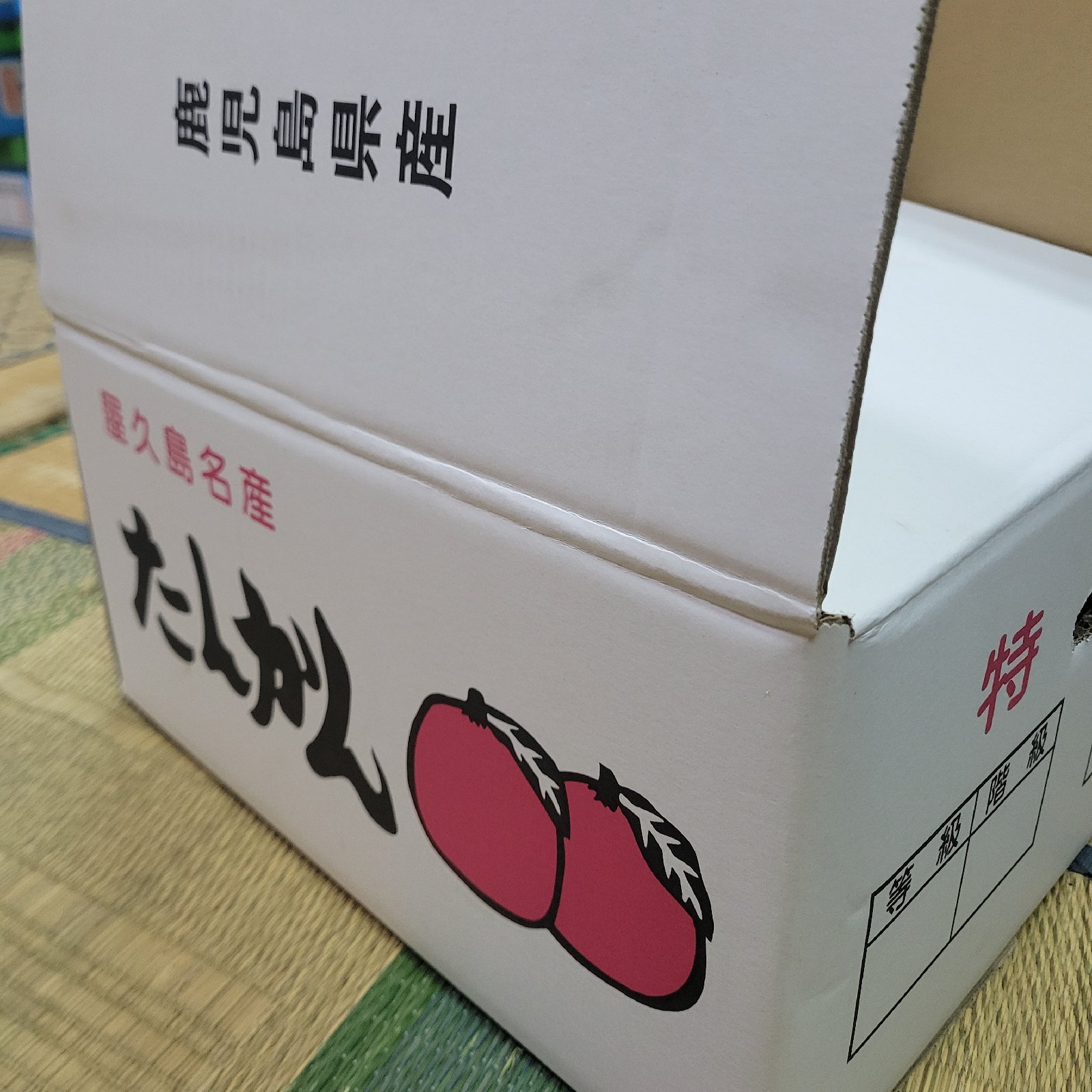 訳あり】屋久島名産たんかん5キロ | 果物/オレンジ・その他みかん