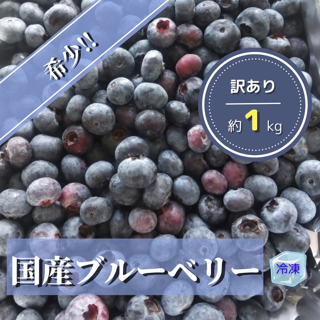 冷凍大粒ブルーベリー3kg