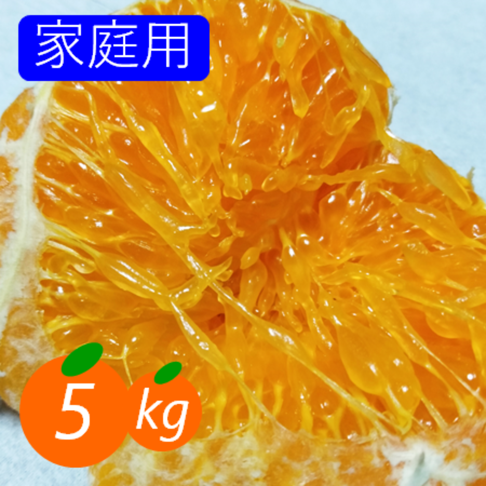 家庭用】甘平 5kg ギッシリ果肉のシャキシャキ食感 愛媛限定高級柑橘