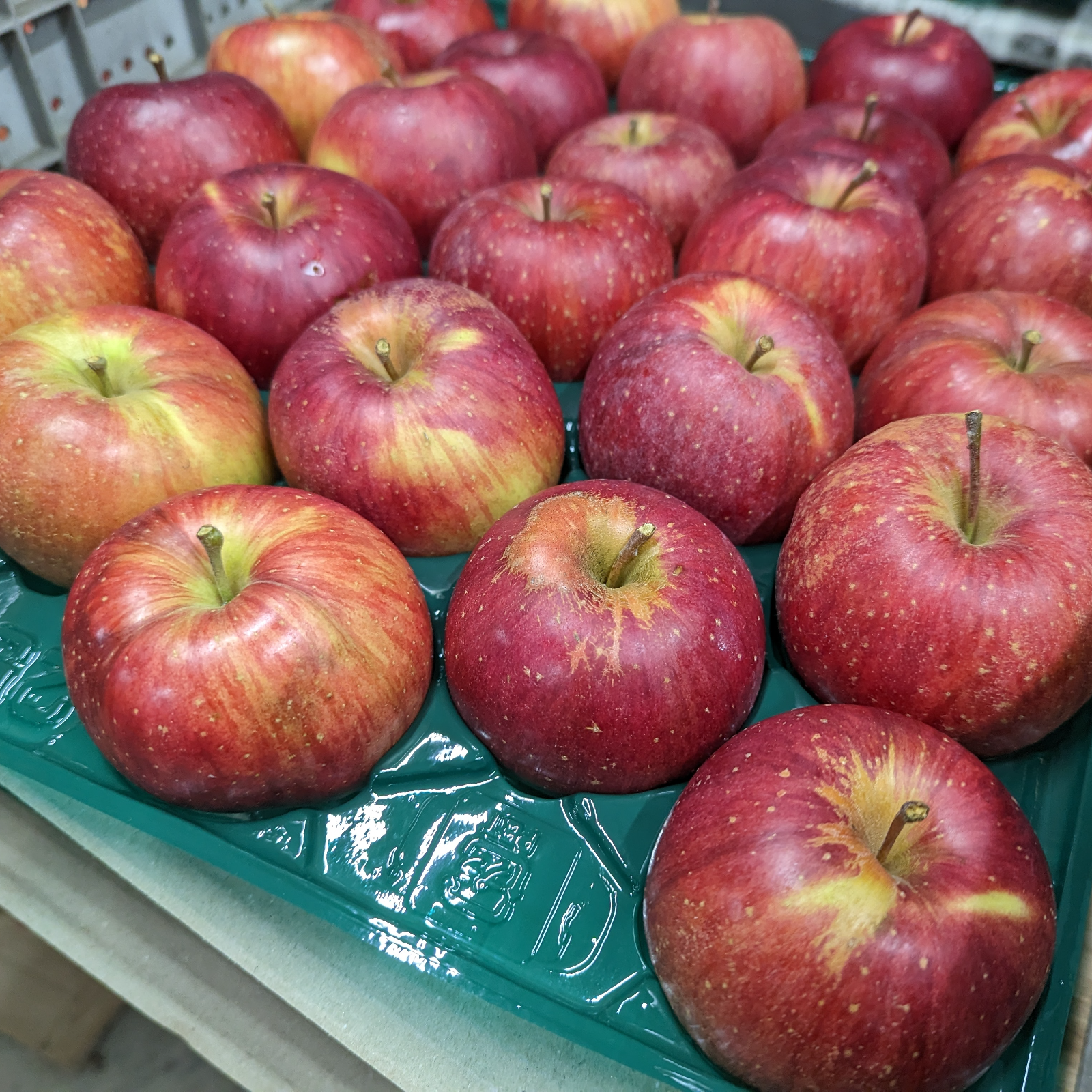 りおままページ　シナノスイート 小玉　農家直送 シナノスイート 規格外小玉 5キロ箱(23～25玉くらい) 新聞梱包【追加