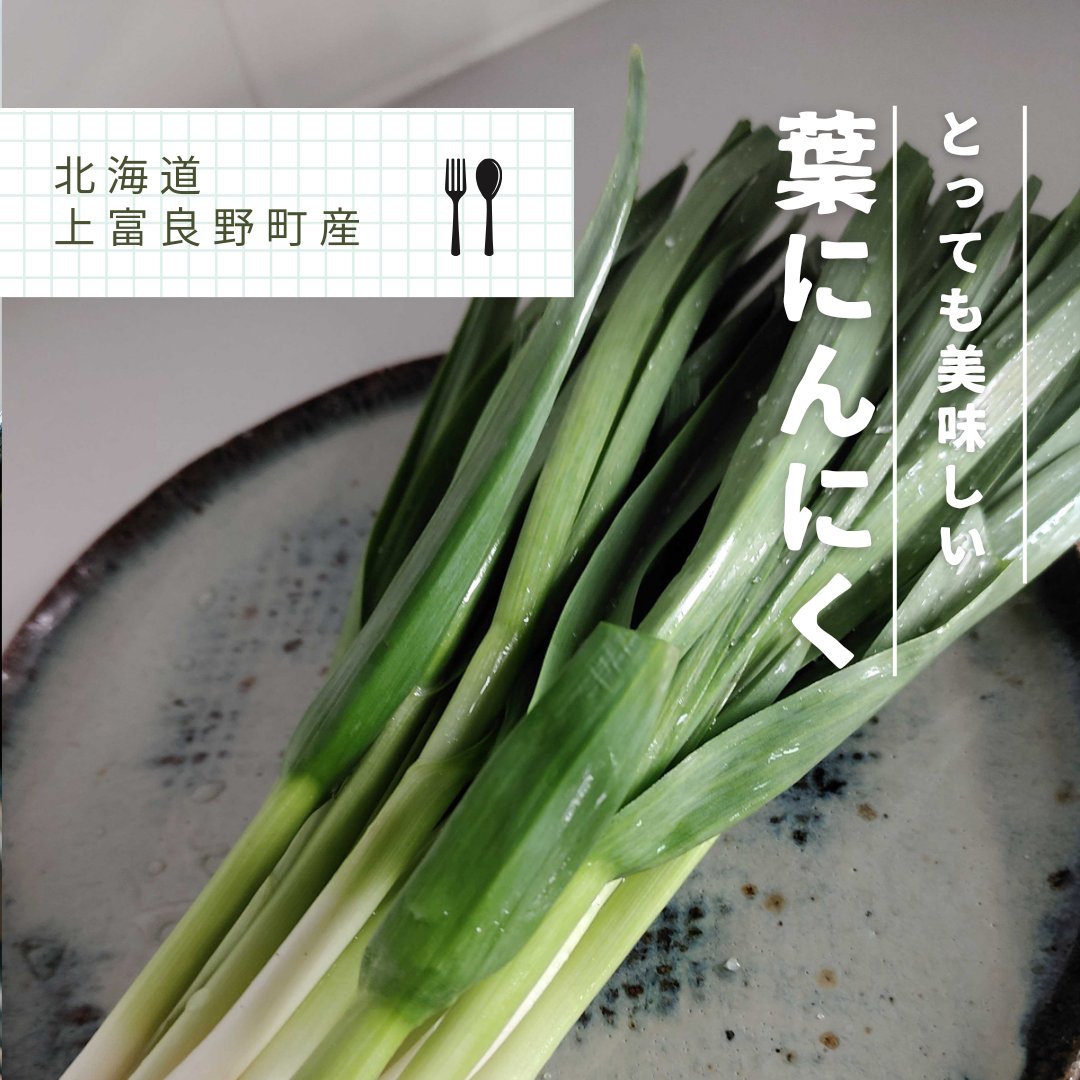 上富良野町 葉にんにく 600g ｜ 野菜/にんにく 産直アウル 農家・漁師