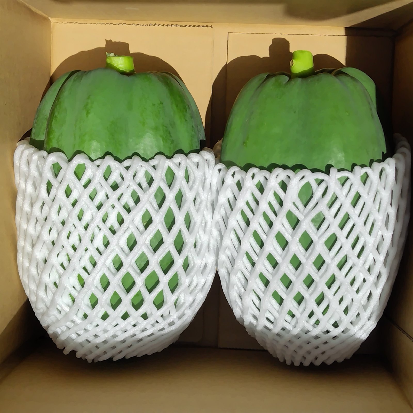アウルの日】茨城県産 健康食材 青パパイヤ 無農薬1.8Kg ｜ 野菜