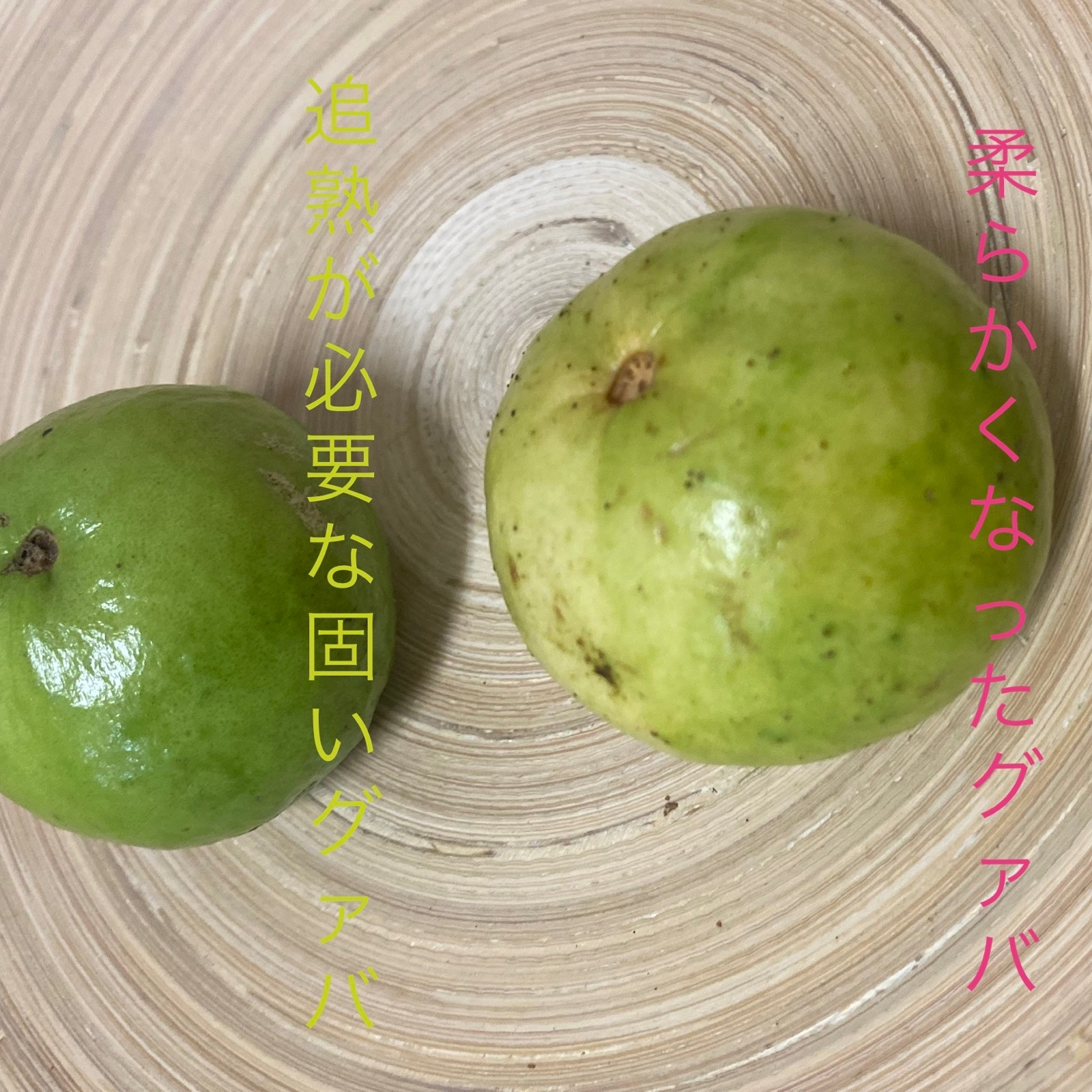 赤グァバ ｜ 果物/その他果物 産直アウル 農家・漁師など生産者から