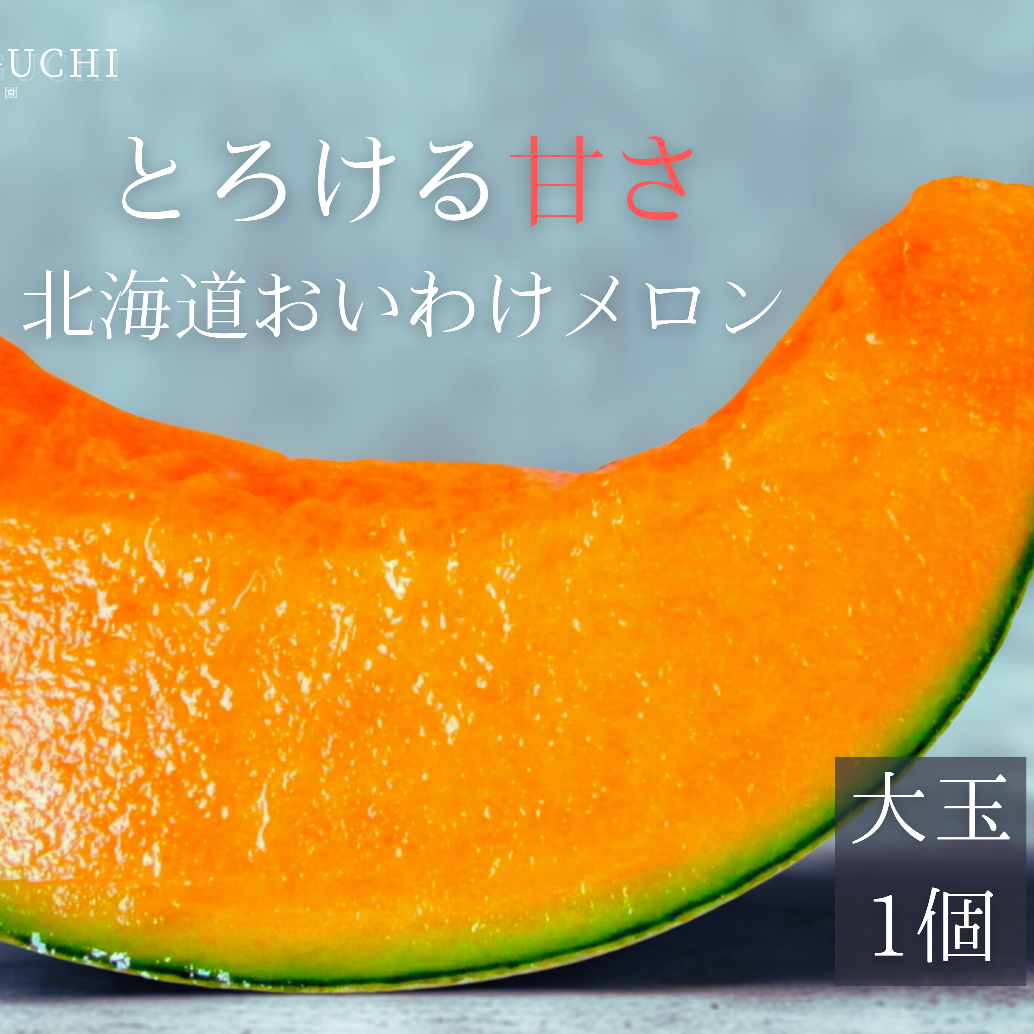 北海道産 メロン 農家直送　　2玉入り 糖度は十分あります ギフトに大人気 【北海道メロン】 1玉入り 大玉 ｜ 果物/メロン 産直