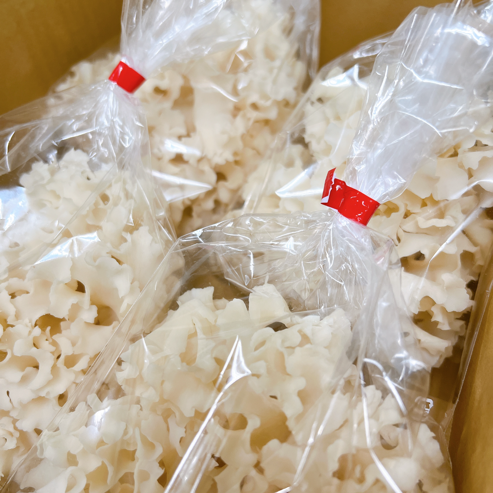 はなびらたけ 120g×4 ｜ 野菜/きのこ 産直アウル 農家・漁師など生産者