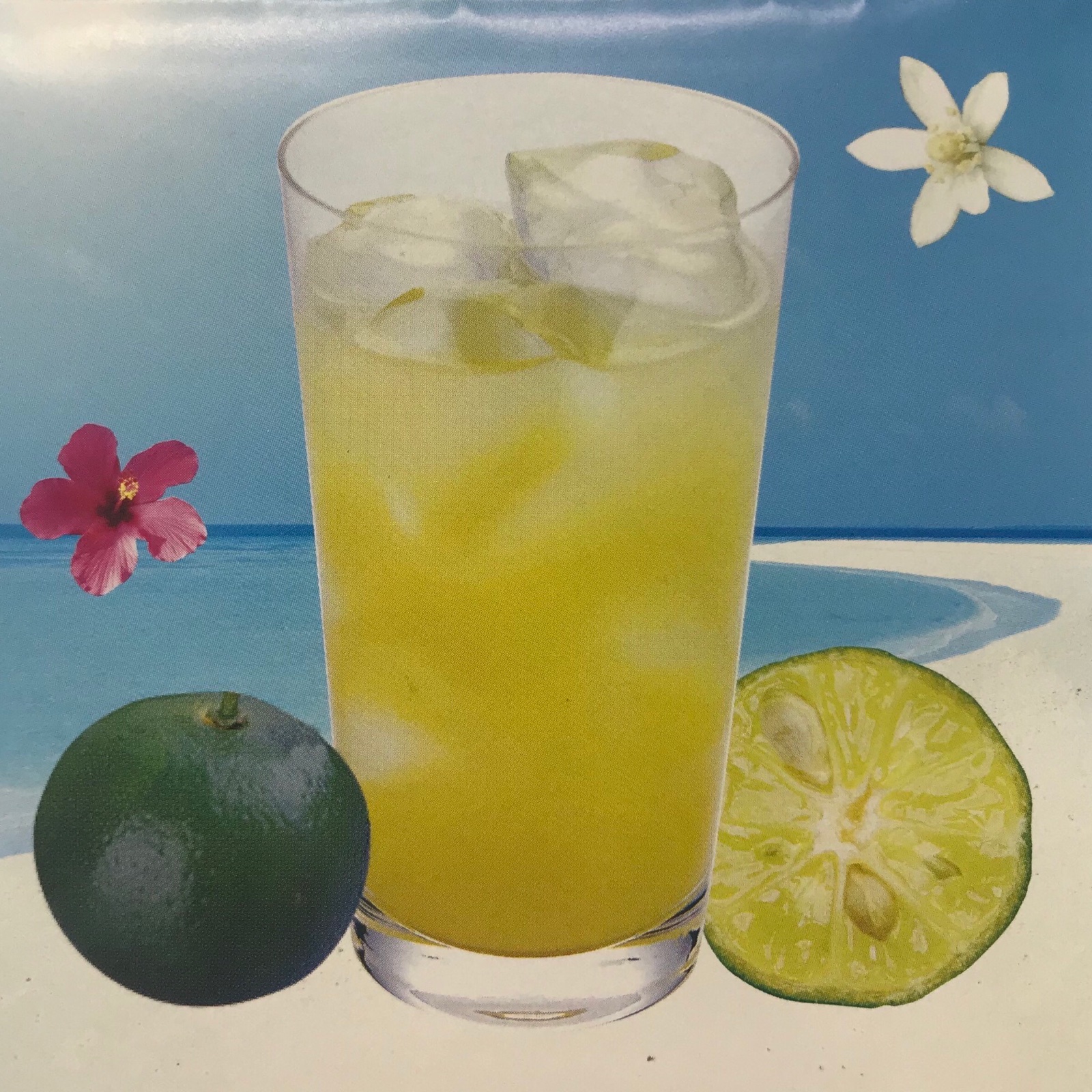 沖縄】金ちゃん農園 ”青切りシークヮーサー”3kg | 果物/香酸柑橘