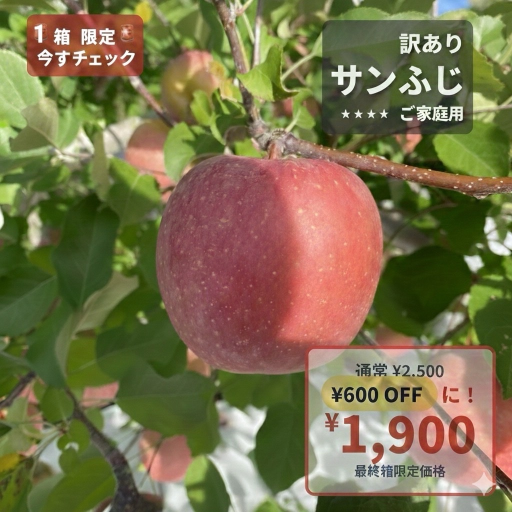 🍎【訳あり】サンふじ：ご家庭用 1箱限定価格 | 果物/りんご 産直