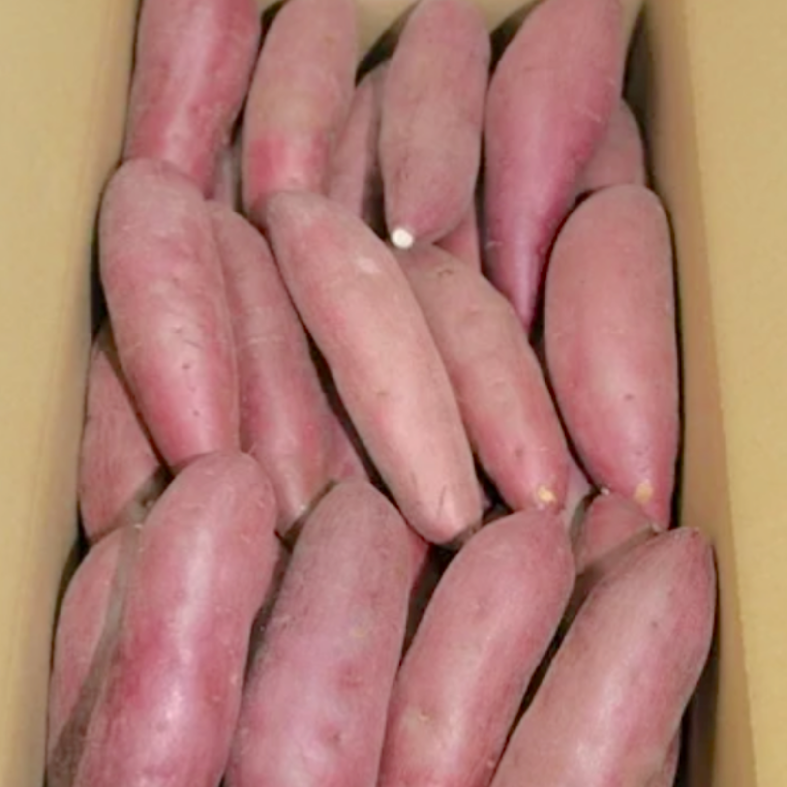 【ジャム様購入専用】熊本県産　さつまいも14kg 熊本県産 さつまいも 規格外品 箱込み 約2kg【003】熊本