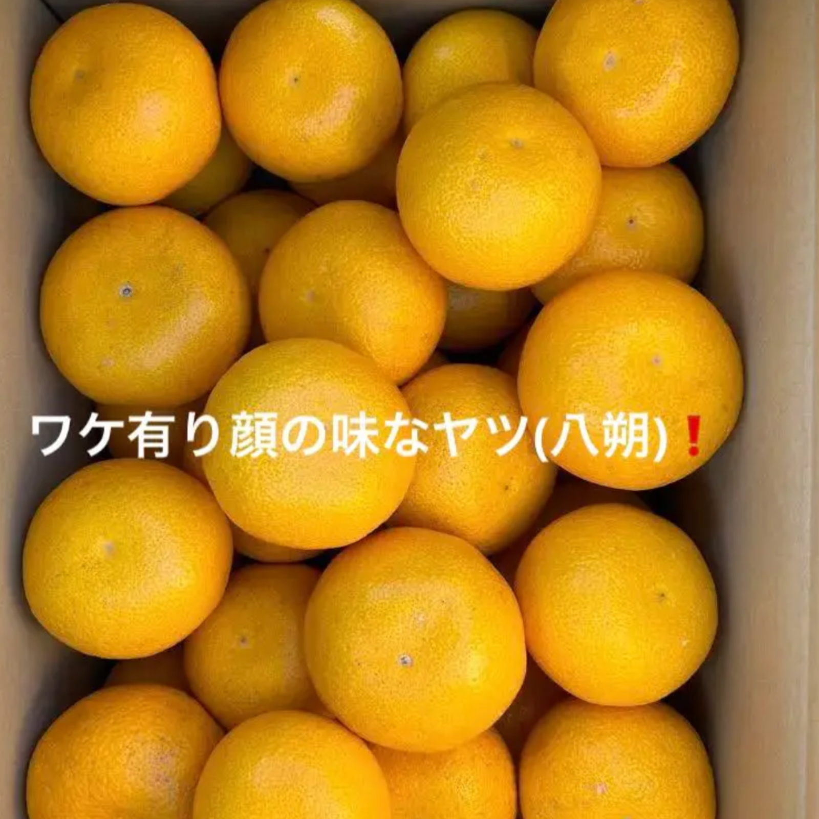 八朔合馬