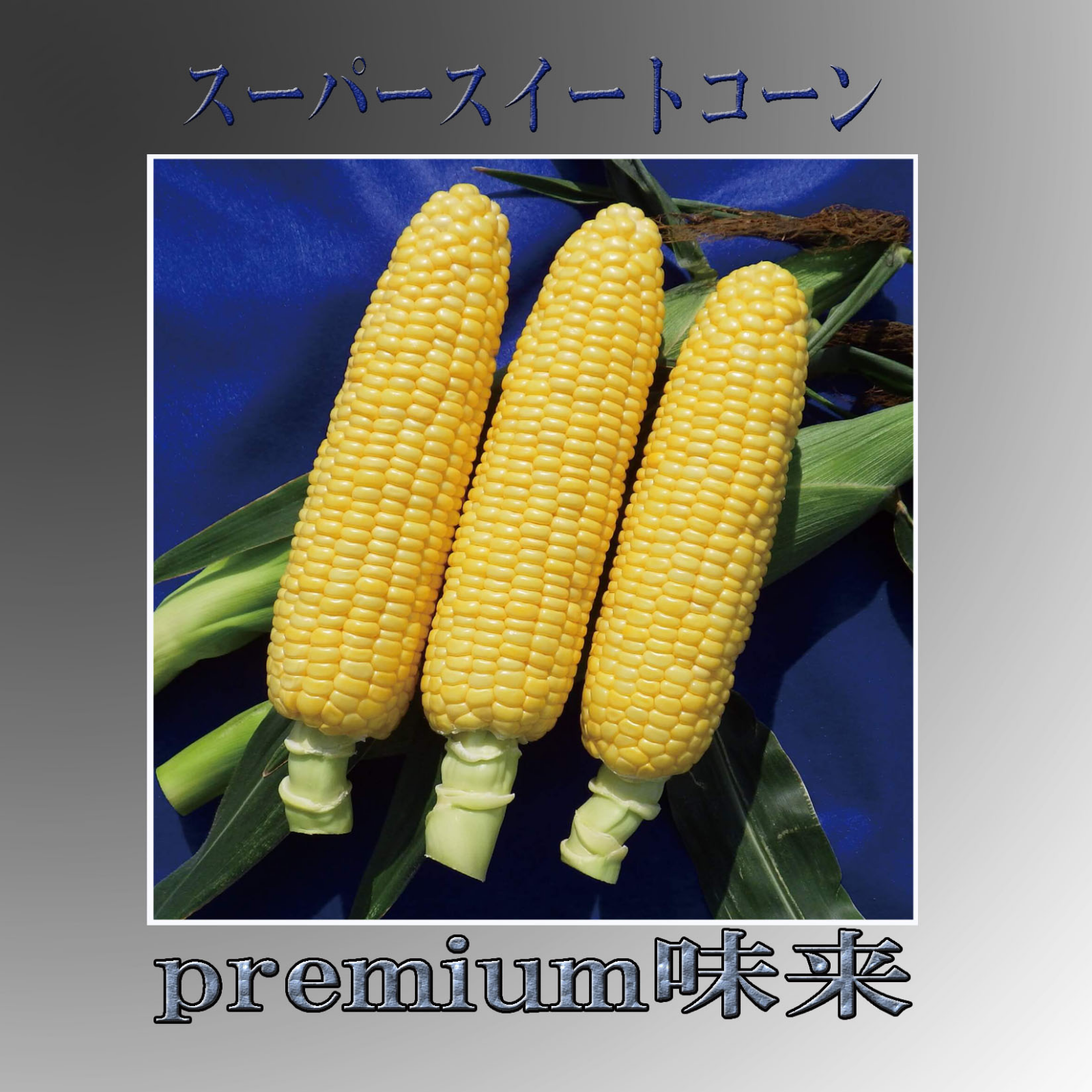 とうもろこし　プレミアム味来　香川県産　スィートコーン スーパースイートコーン♡プレミアム味来8本（予約品） ｜ 野菜