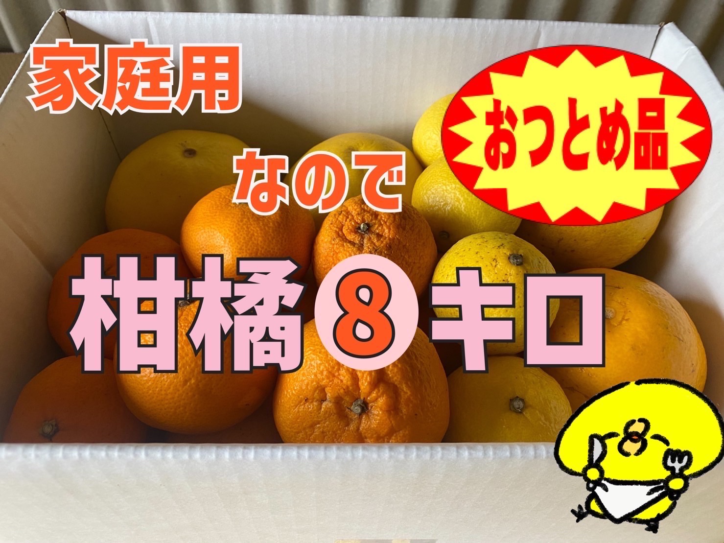 △本州、四国、九州のみ発送可△『おつとめ品-愛媛産-柑橘8キロ