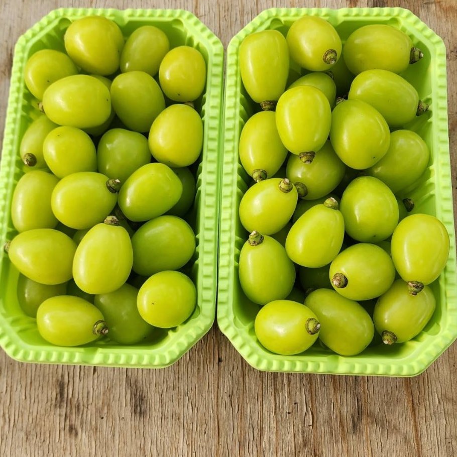 家庭用 シャインマスカット 粒 4kg | 果物/ぶどう 産直アウル 農家から