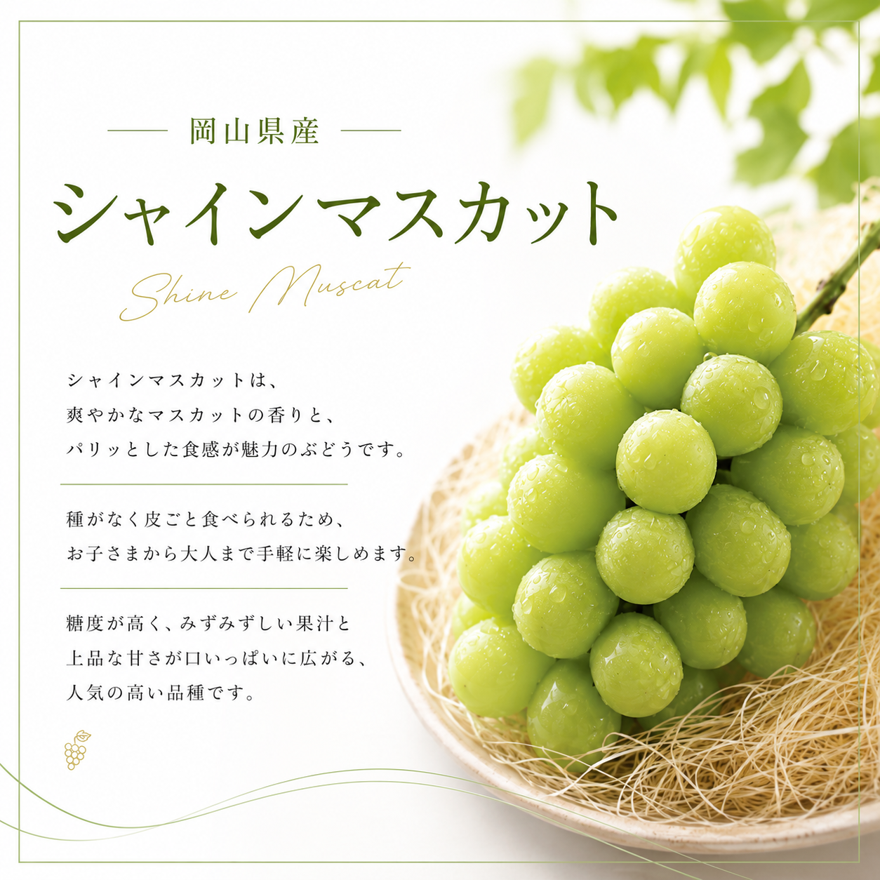 ご自宅用】シャインマスカット 2kg ｜ 果物/ぶどう 産直アウル 農家