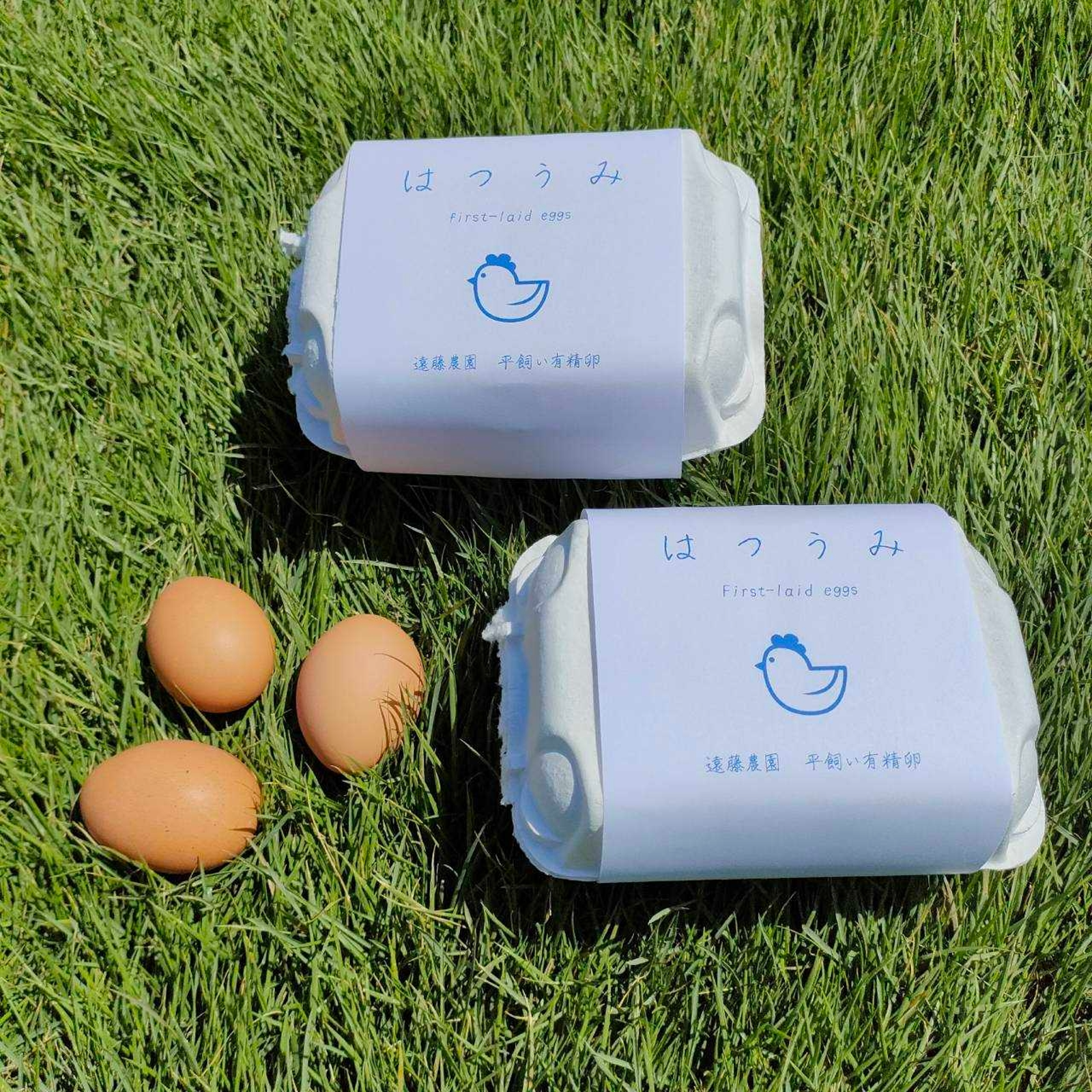 期間限定】平飼い鶏の初産み卵 6個入×2パック 12個入 ギフトにおすすめ