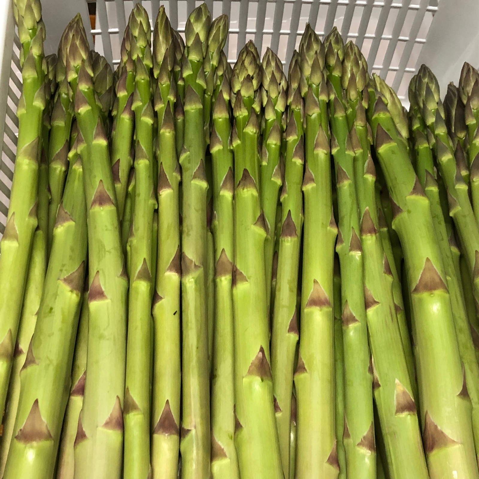 さぬきのめざめ　2L（3L）サイズ　2kg ⭐️さぬきのめざめ⭐️（アスパラガス） 【2Lサイズ】 2Kg ｜ 野菜