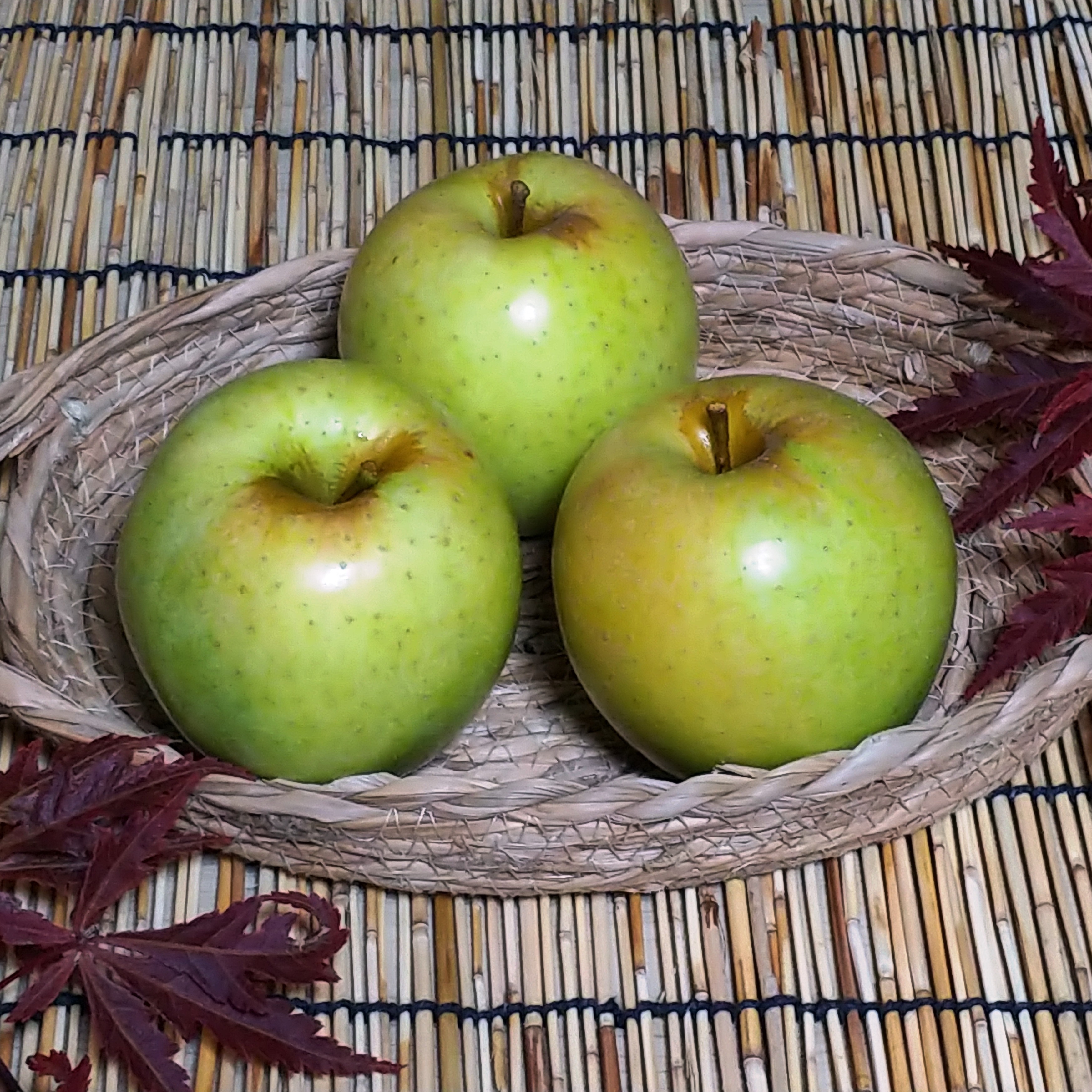 減農薬栽培】※訳あり：枝傷等 りんご（王林）約1.8kg 1箱5~6玉 | 果物