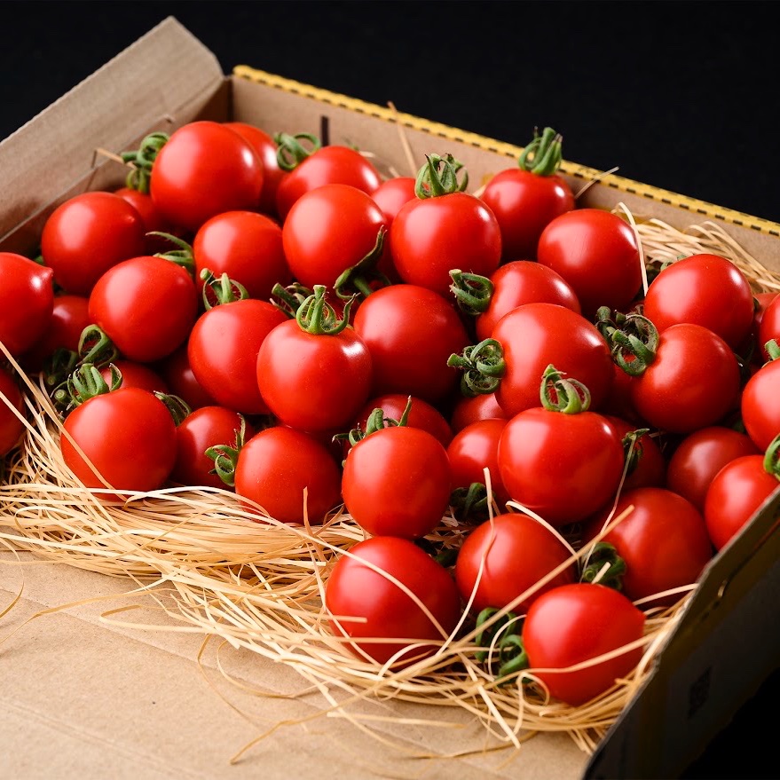 ミサトファーム（福島県・会津美里町）｜生産者詳細｜産直アウル