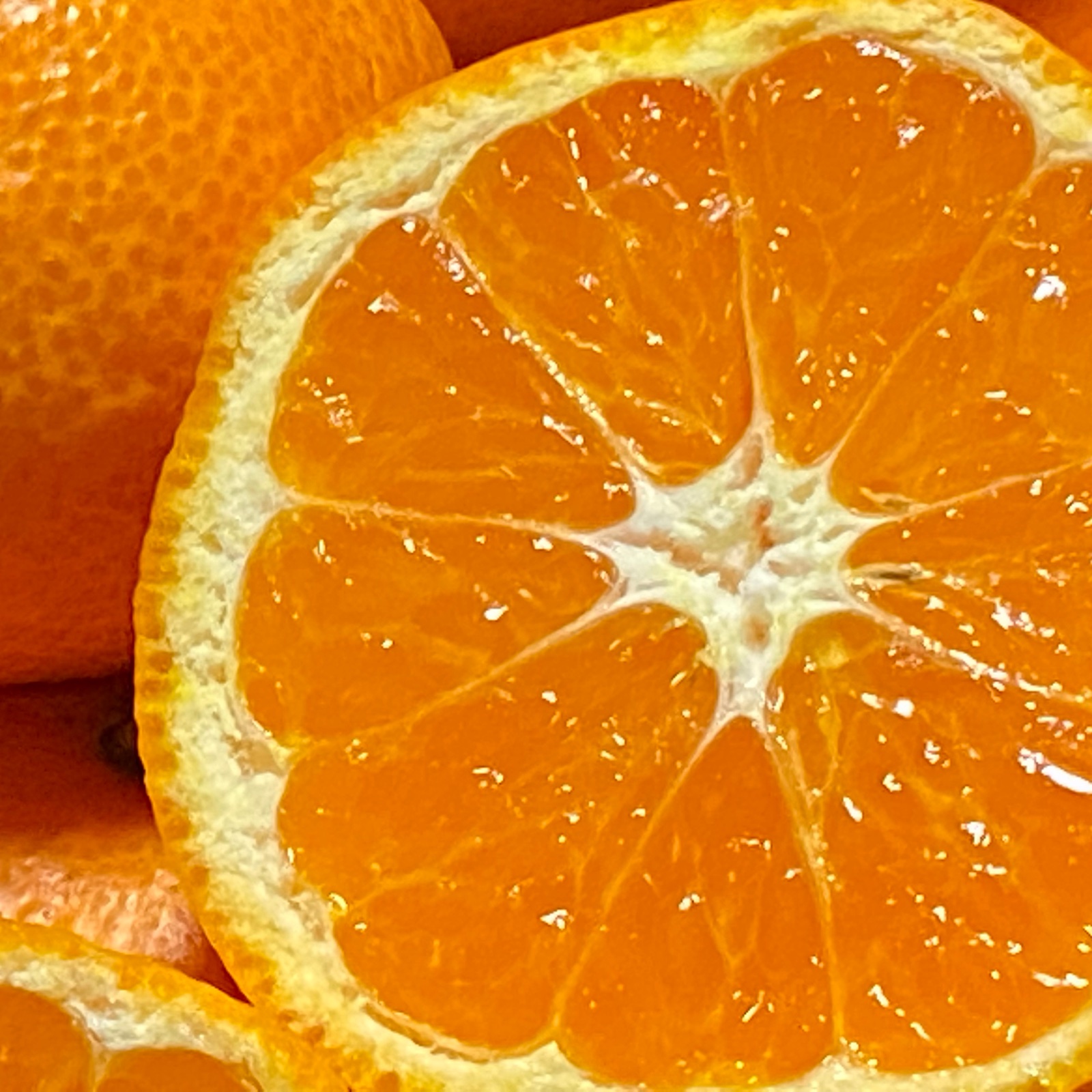 希少価値の高い】輝みかん🍊（石地）（5.0k入） ｜ 果物/温州みかん