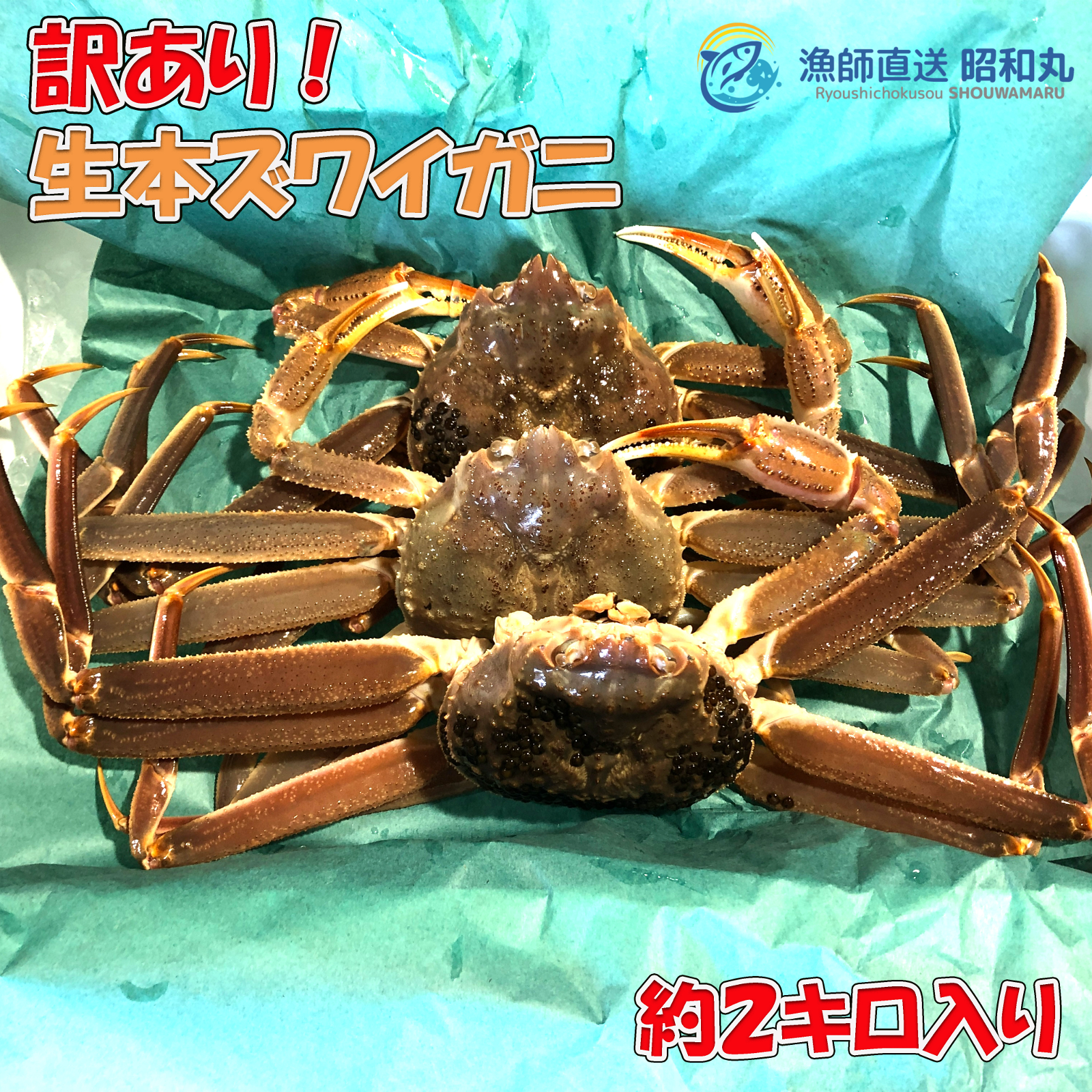 NIさんが 昭和丸 の 訳あり生本ズワイガニ 約2キロ入り について